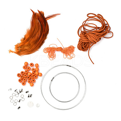 DIY Woven Net/Web with Feather Making Set DIY-F074-07-1
