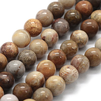 Natural Fossil Coral Beads Strands G-G763-12-4mm-1
