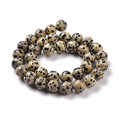 Natural Dalmatian Jasper Beads Strands G-Q462-10mm-30-1