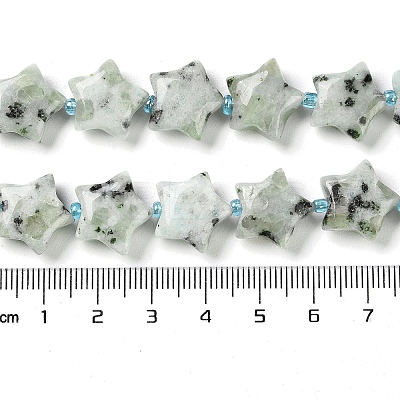 Natural Sesame Jasper/Kiwi Jasper Beads Strands G-NH0005-018-1
