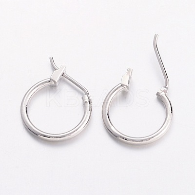 Brass Hoop Earrings X-EC261-NF-1