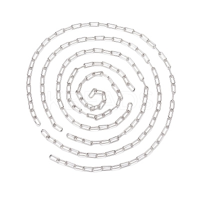 Unwelded Iron Paperclip Chains CH-FS0001-01P-1