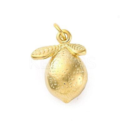 304 Stainless Steel Pendants STAS-U049-01A-08G-1