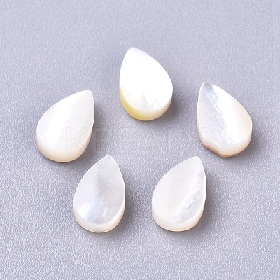 Natural Sea Shell Beads SSHEL-R038-20-1
