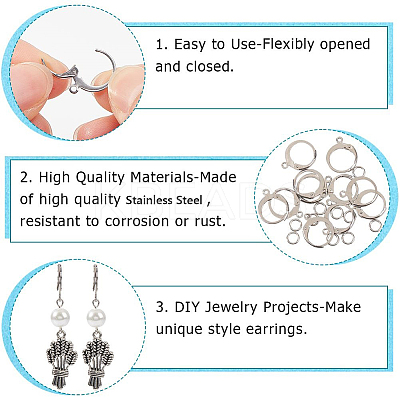 80Pcs 304 Stainless Steel Leverback Earring Findings STAS-SP0001-15-1