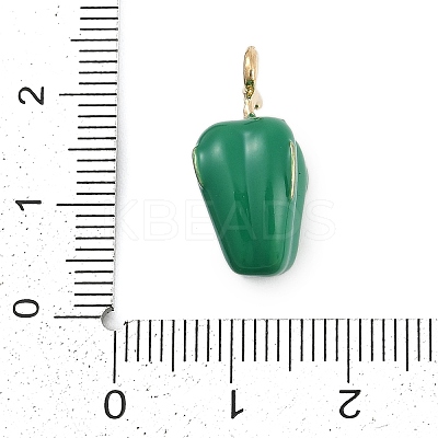 Alloy Enamel Pendants FIND-K020-16G-02-1