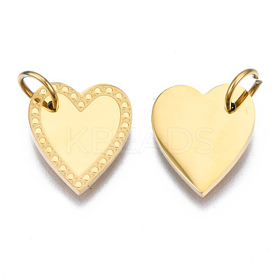 316 Surgical Stainless Steel Charms STAS-N097-021-1