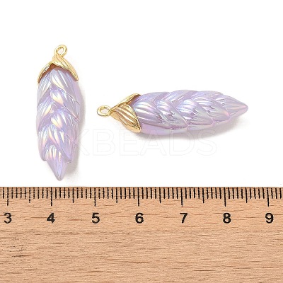 Rainbow Iridescent Plating Resin Pendants LS-RESI-C047-03E-G-1