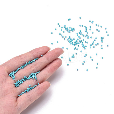 11/0 FGB Grade A Baking Paint Glass Seed Beads X-SEED-N001-A-1016-1