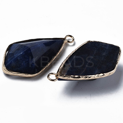 Natural Sodalite Charms G-Q998-029F-1
