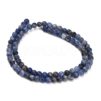 Natural South Africa Sodalite Beads Strands G-S259-35-4mm-1