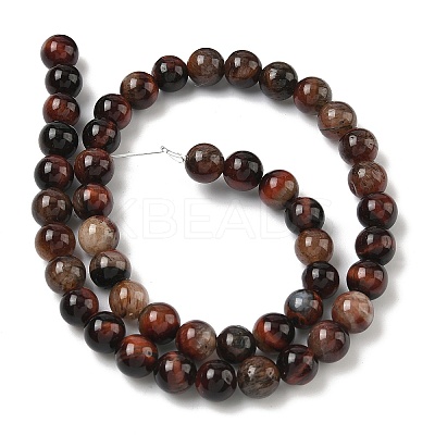 Natural Tiger Eye Beads Strands G-F591-18-8mm-07-1