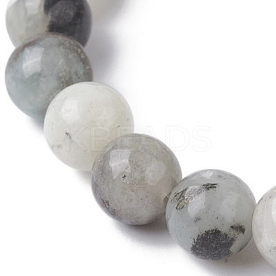 Natural Flower Amazonite & Synthetic Turquoise Dolphin Beaded Stretch Bracelets BJEW-JB09830-03-1