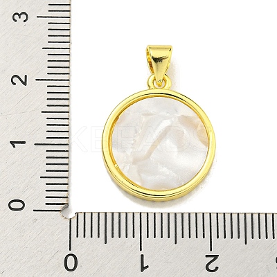 Brass Micro Pave Clear Cubic Zirconia Pendants KK-K354-04G-08-1