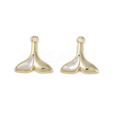 Brass Enamel Charms KK-Z078-10G-1