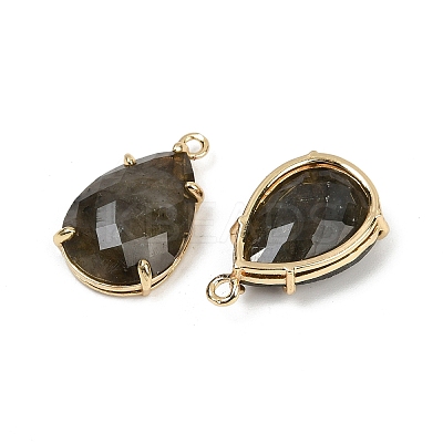 Natural Labradorite Faceted Pendants G-K347-05G-02-1