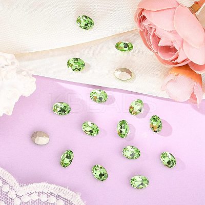Preciosa® MAXIMA Crystal Fancy Stones X-PRC-FF8-50520-1