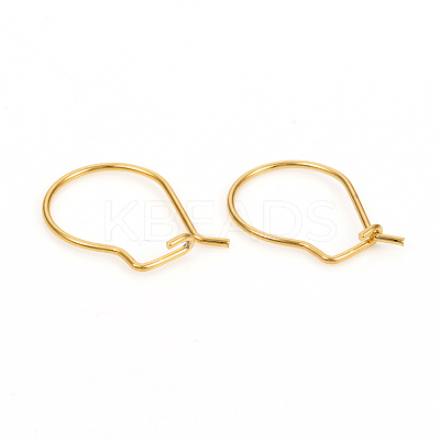 304 Stainless Steel Hoop Earrings STAS-I149-11G-1