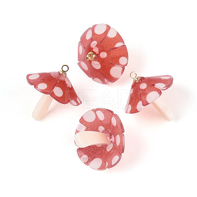 Plastic Pendants KY-N015-118C-01-1