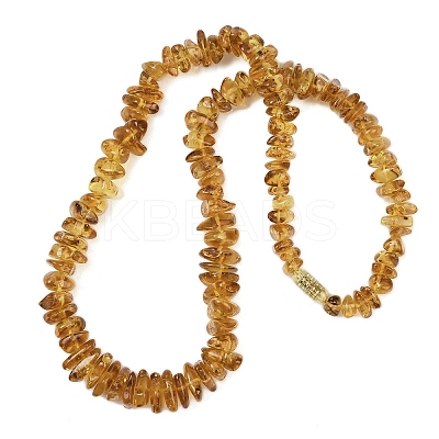 Natural Amber Chip Beaded Necklaces NJEW-L466-03B-1