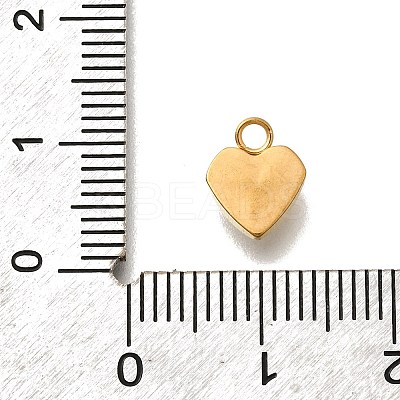 304 Stainless Steel Pave Cubic Zirconia Charms STAS-D310-07G-01-1