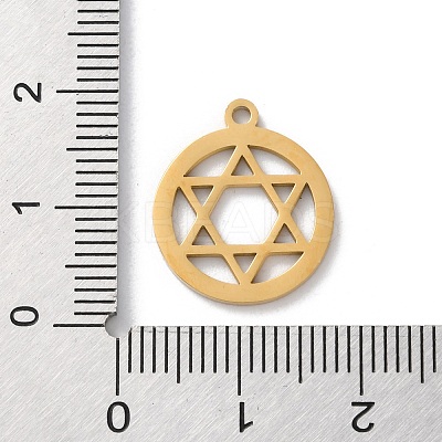 304 Stainless Steel Pendants STAS-S149-10G-1
