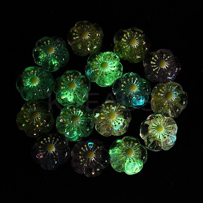 Luminous Resin Enamel Beads RE-CBAC4C7-14-1