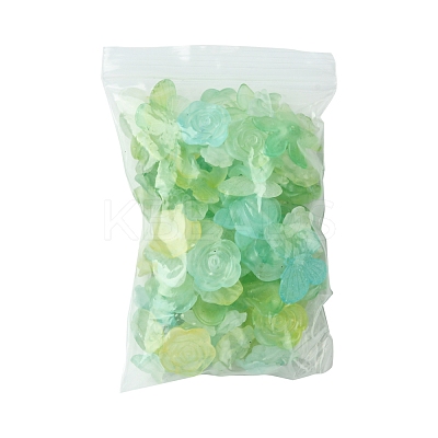60G Transparent Acrylic Beads OACR-FS0001-90C-1