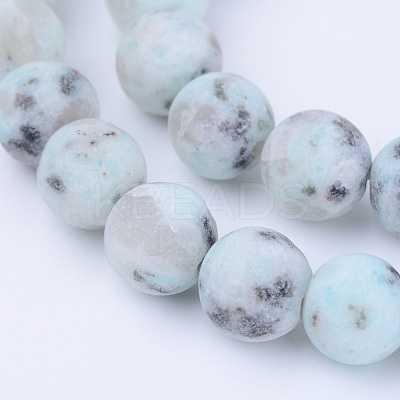 Natural Sesame Jasper/Kiwi Jasper Beads Strands X-G-Q462-10mm-17-1