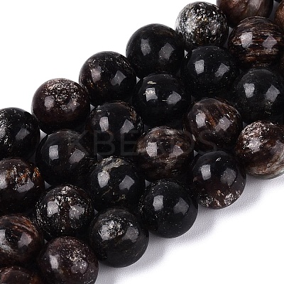 Natural Biotite Beads Strands G-Q616-01D-1