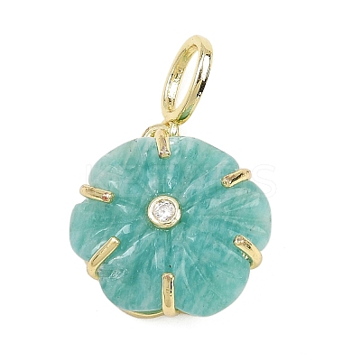 Natural Amazonite Carved Pendants G-G330-01G-07-1
