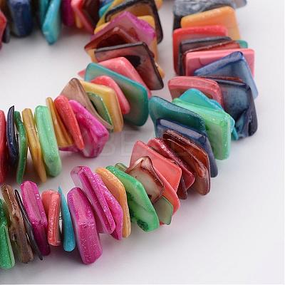 Natural Shell Bead Strands BSHE-P021-01-1