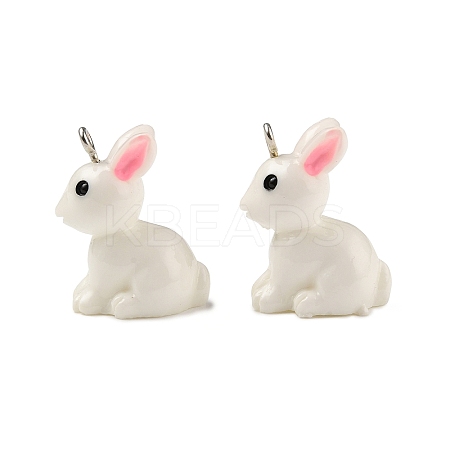 Resin Pendants RESI-S356-53-1