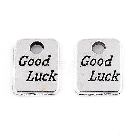 Tibetan Style Alloy Charms X-TIBE-N013-03AS-1