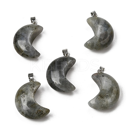 Natural Labradorite Pendants G-F820-02C-1