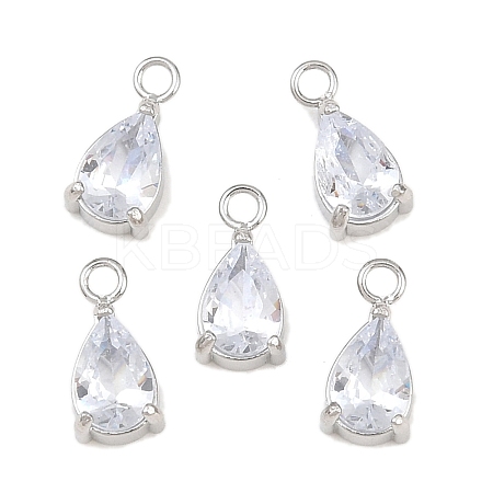 304 Stainless Steel Pave Cubic Zirconia Pendants STAS-P434-01P-1