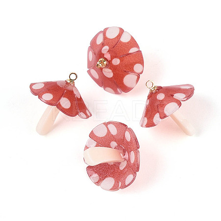 Plastic Pendants KY-N015-118C-01-1