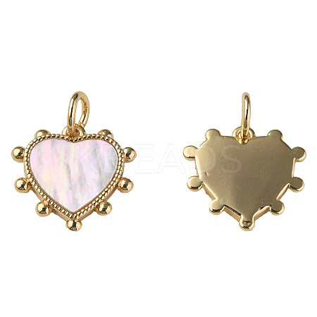 Natural Shell Charms X-KK-N233-210-1