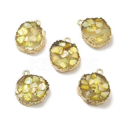 Transparent Resin Pendants CRES-F022-03A-1