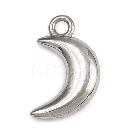 304 Stainless Steel Charms STAS-C140-01F-P-1