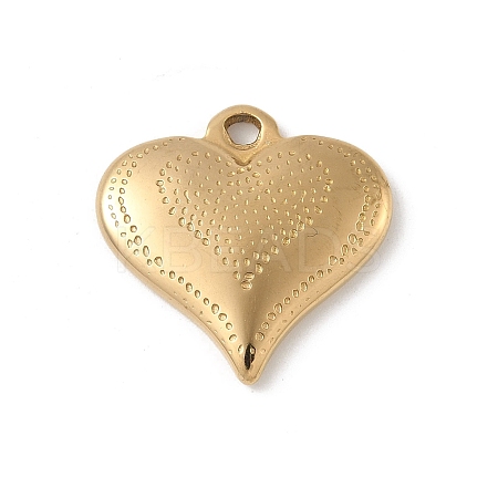 304 Stainless Steel Pendants STAS-P388-15G-1