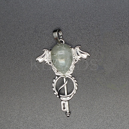 Natural Labradorite Teardrop Pendants PW-WG60016-21-1
