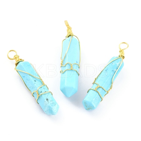 Natural Dyed Howlite Pendants G-H260-03B-G-1