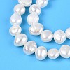 Natural Cultured Freshwater Pearl Beads Strands PEAR-T006-15A-4