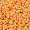 Glass Seed Beads SEED-L011-04A-06-3