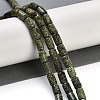 Natural Serpentine/Green Lace Stone Beads Strands G-H064-B01-01-2