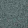 TOHO Round Seed Beads SEED-JPTR11-1851-2