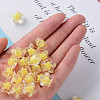 Transparent Acrylic Beads TACR-S152-02A-SS2105-5