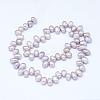 Natural Cultured Freshwater Pearl Beads Strands PEAR-G004-01B-01-X-2
