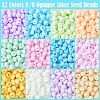 60G 12 Colors 8/0 Opaque Glass Seed Beads SEED-FS0001-28-2